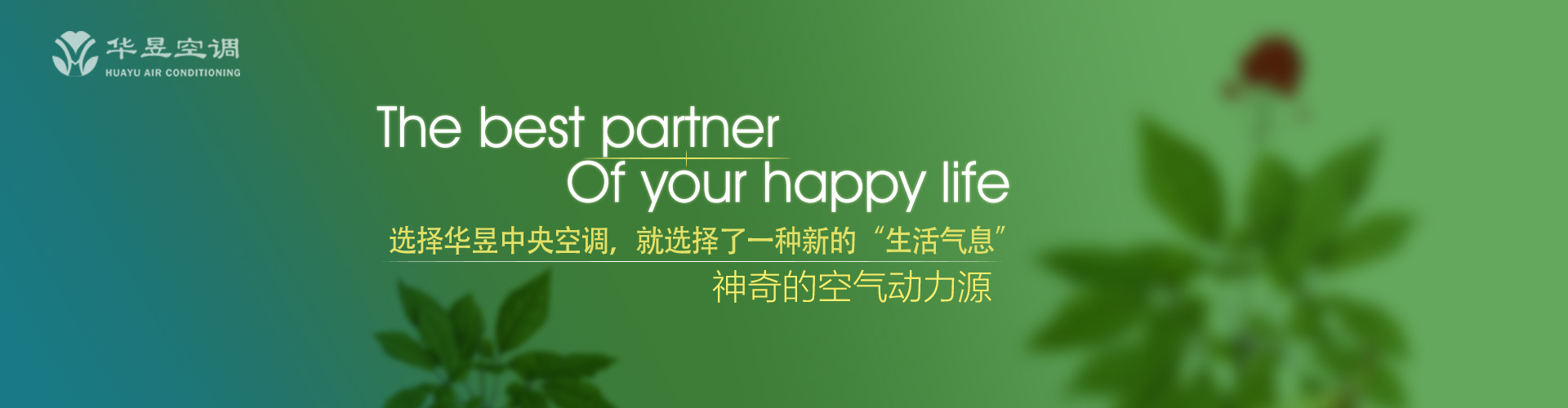 彼此彼此网